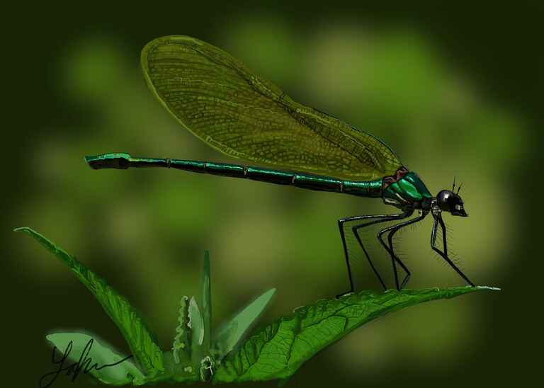 20140613182643--Dragonfly_s__art-art@creatures.jpg