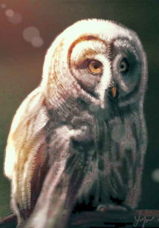20150313195756--Owl_s__art-art@creatures.jpg