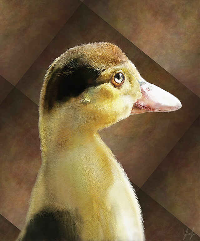 20170103151318--Duckling__art-art@creatures.jpg