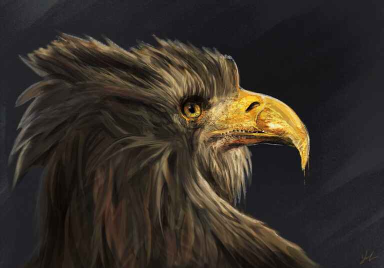 20170520195914--Eagle_s__art-art@creatures.jpg