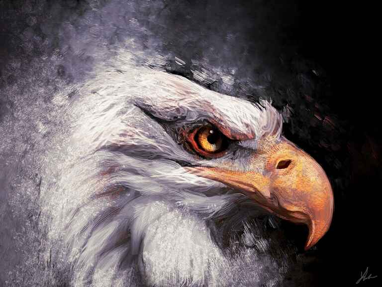 20190107212431--Eagle2_s__art-art@creatures.jpg