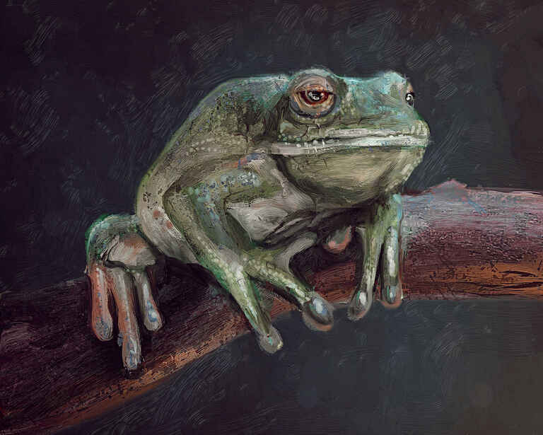 20210819154153--FrogFinished__art-art@creatures.jpg