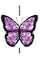 Papillon196.jpg